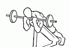 Lying Incline Curl with a Barbell Lying Incline Curl with a Barbell 2