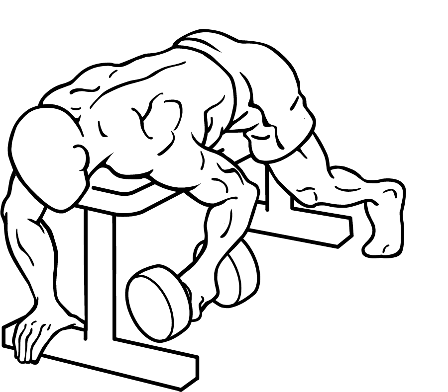Lying One-Arm Rear Lateral Raise 2 Lying One Arm Rear Lateral Raise 2