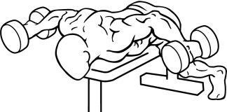 Lying Rear Lateral Raise Lying Rear Lateral Raise 1