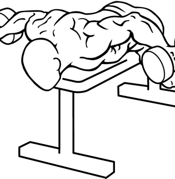 Lying Rear Lateral Raise 1