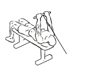 lying triceps extension 2