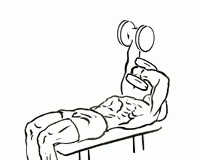 Lying Triceps Extension Across Face with Dumbbell Lying Triceps Extension Across Face with Dumbbell 1