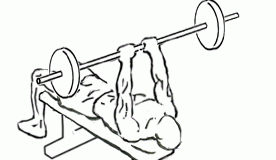 Lying Triceps Press with Barbell Lying Triceps Press with Barbell 2