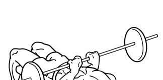 Close Grip Barbell Bench Press Close Grip Barbell Bench Press 2