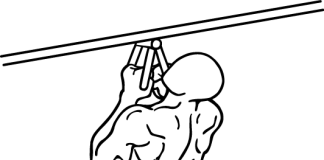 Narrow Parallel Grip Chin-ups Narrow Parallel Grip Chin-ups 1