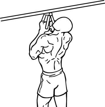 Narrow Parallel Grip Chin-ups 1