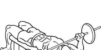 Barbell Neck Press neck press 2