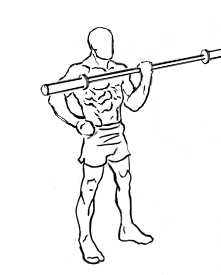 one arm bicep curl with olympic bar 2