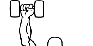 One Arm Dumbbell Shoulder Press One Arm Dumbbell Shoulder Press