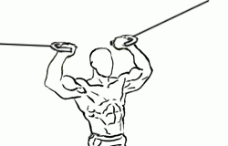 Overhead Cable Curl Overhead Cable Curl