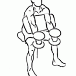 preacher hammer curl 1