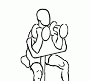 Preacher Hammer Curl with Dumbbell Preacher Hammer Curl with Dumbbell 2