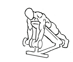 Prone Incline Biceps Curl with Dumbbell 1 prone incline biceps curl 1
