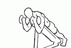 Prone Incline Biceps Curl with Dumbbell Prone Incline Biceps Curl with Dumbbell 2