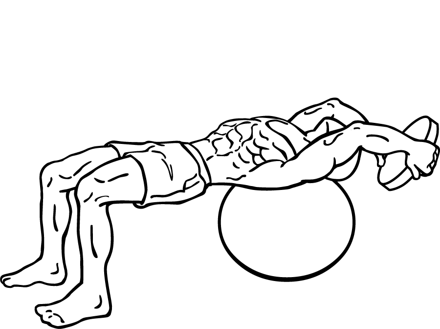 pullover on stability ball with weight 2