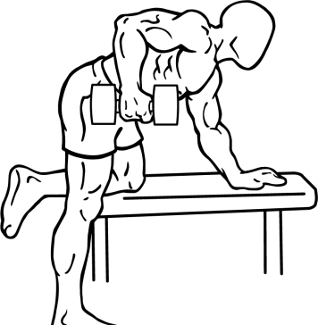 Rear Deltoid Row with Dumbbell 1