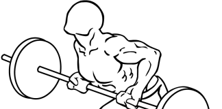 Reverse Grip Bent Over Barbell Row Reverse Grip Bent Over Barbell Row 2