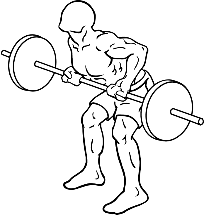 Reverse Grip Bent Over Barbell Row
