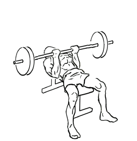 reverse triceps bench press 1