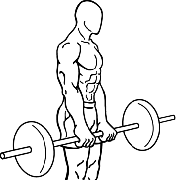 Romanian Dead Lift 1