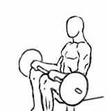Seated Calf Raise with Barbell Seated Calf Raise with Barbell 2