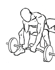 seated close grip concentration curls 1