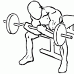 seated close grip concentration curls 2