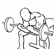 Seated Close Grip Concentration Curl with Barbell Seated Close Grip Concentration Curl with Barbell 2