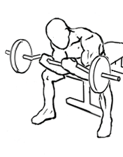 seated close grip concentration curls 2