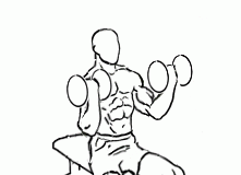 Seated Inner Biceps Curl with Dumbbell Seated Inner Biceps Curl with Dumbbell 1