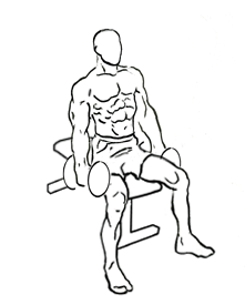 seated inner biceps curl 2