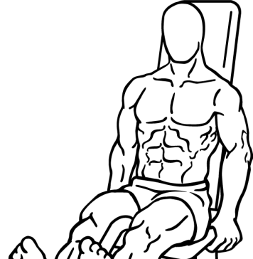 seated leg curl 2