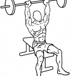 seated military shoulder press 1