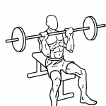 seated military shoulder press 2