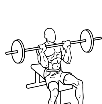 Seated Barbell Shoulder Press 2