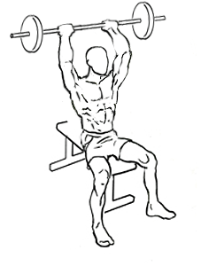 seated overhead triceps extension 2