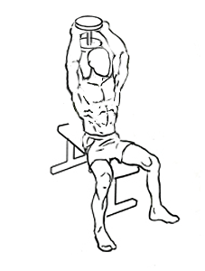seated triceps press 2