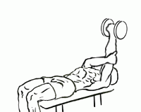 Single Arm Pronated Triceps Extension with Dumbbell Single Arm Pronated Triceps Extension with Dumbbell 2