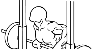 Smith Machine Rear Deltoid Row Smith Machine Rear Deltoid Row 2