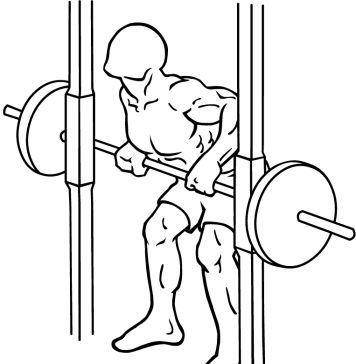 Smith Machine Rear Deltoid Row 2