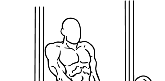 Smith Machine Shoulder Shrug Smith Machine Shoulder Shrugs 1