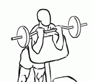 Spider Curl with Barbell Spider Curl with Barbell 2