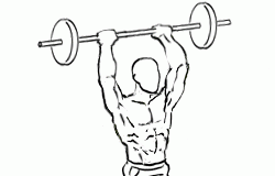 Standing Overhead Triceps Extension with a Barbell Standing Overhead Triceps Extension with a Barbell 2