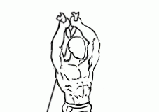 Standing Triceps Cable Extension Standing Triceps Cable Extension 2