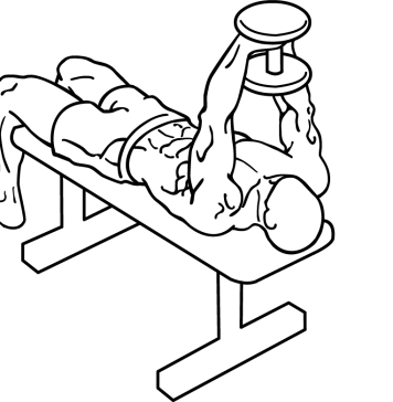 Straight Arm Dumbbell Pullover 1