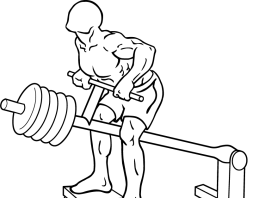 T-Bar Rows 2