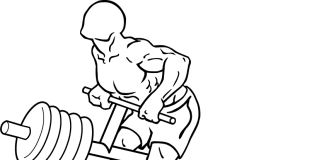 Unlocking Strength and Posture: The Ultimate Guide to T-Bar Rows T-Bar Rows 2