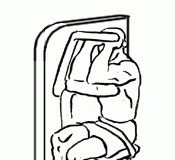 Triceps Extensions using a Machine Triceps Extensions using a Machine