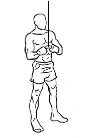 triceps pushdown with v bar 1