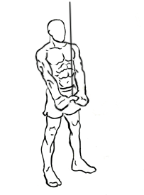 triceps pushdown with v bar 2